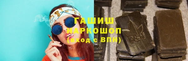 сатива Новокубанск