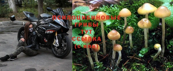 стаф Горнозаводск