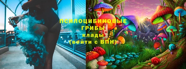 стаф Горнозаводск