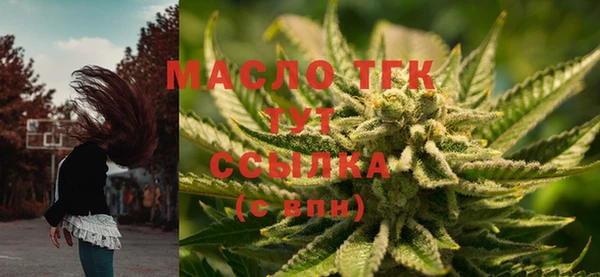 молекула духа Горно-Алтайск