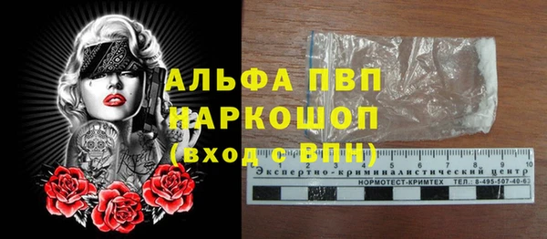 стаф Горнозаводск