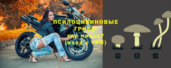 стаф Горнозаводск