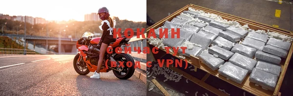 стаф Горнозаводск