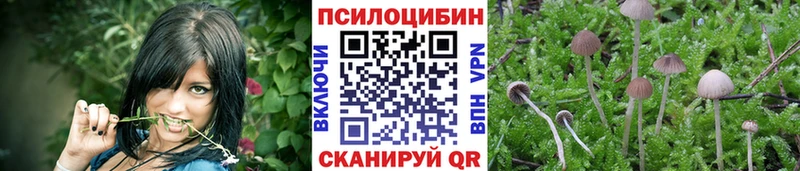 Псилоцибиновые грибы Magic Shrooms  купить   Гусев 